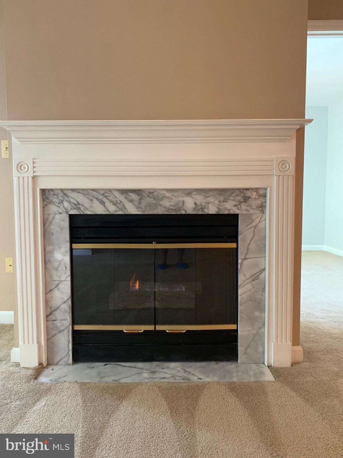 6832 Hayley Ridge Way, Unit G Baltimore, MD 21209 - Photo 9 of 34 Gas fireplace recently serviced & ready to enjoy!