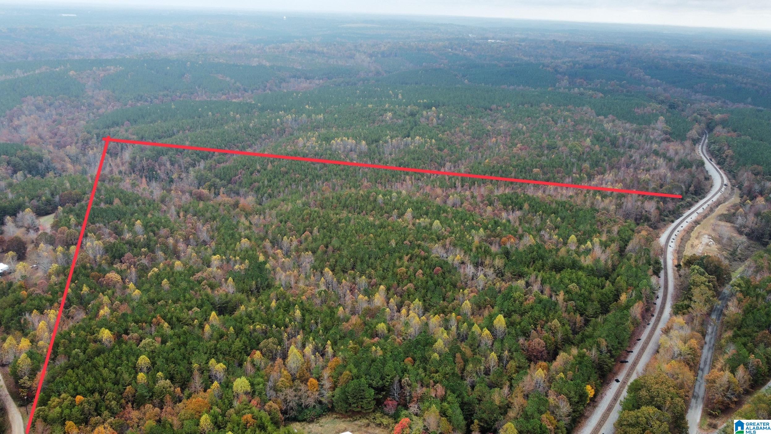 83-acres Byler Road, Unit 83 ACRES Haleyville, AL 35565 - Photo 8 of 19