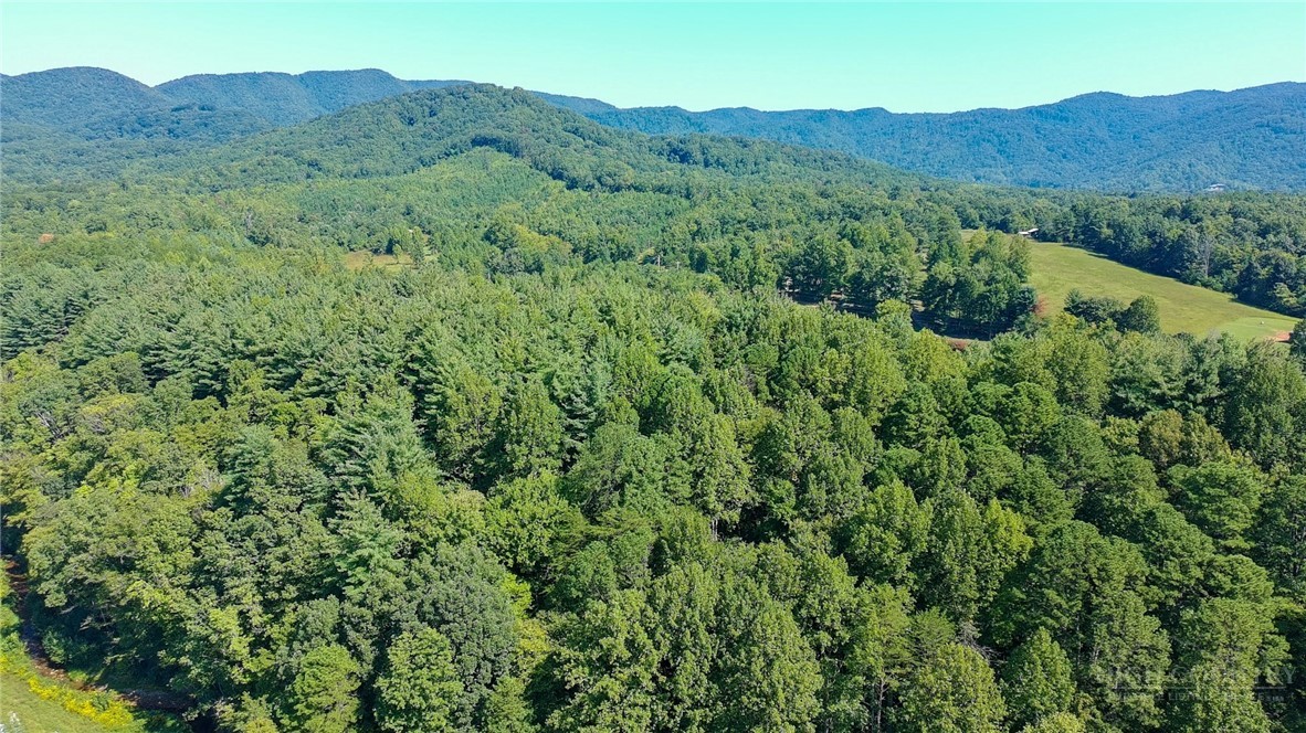 650 Carson Creek Road Lowgap, NC 27024 - Photo 42 of 48 Gallery Image 42