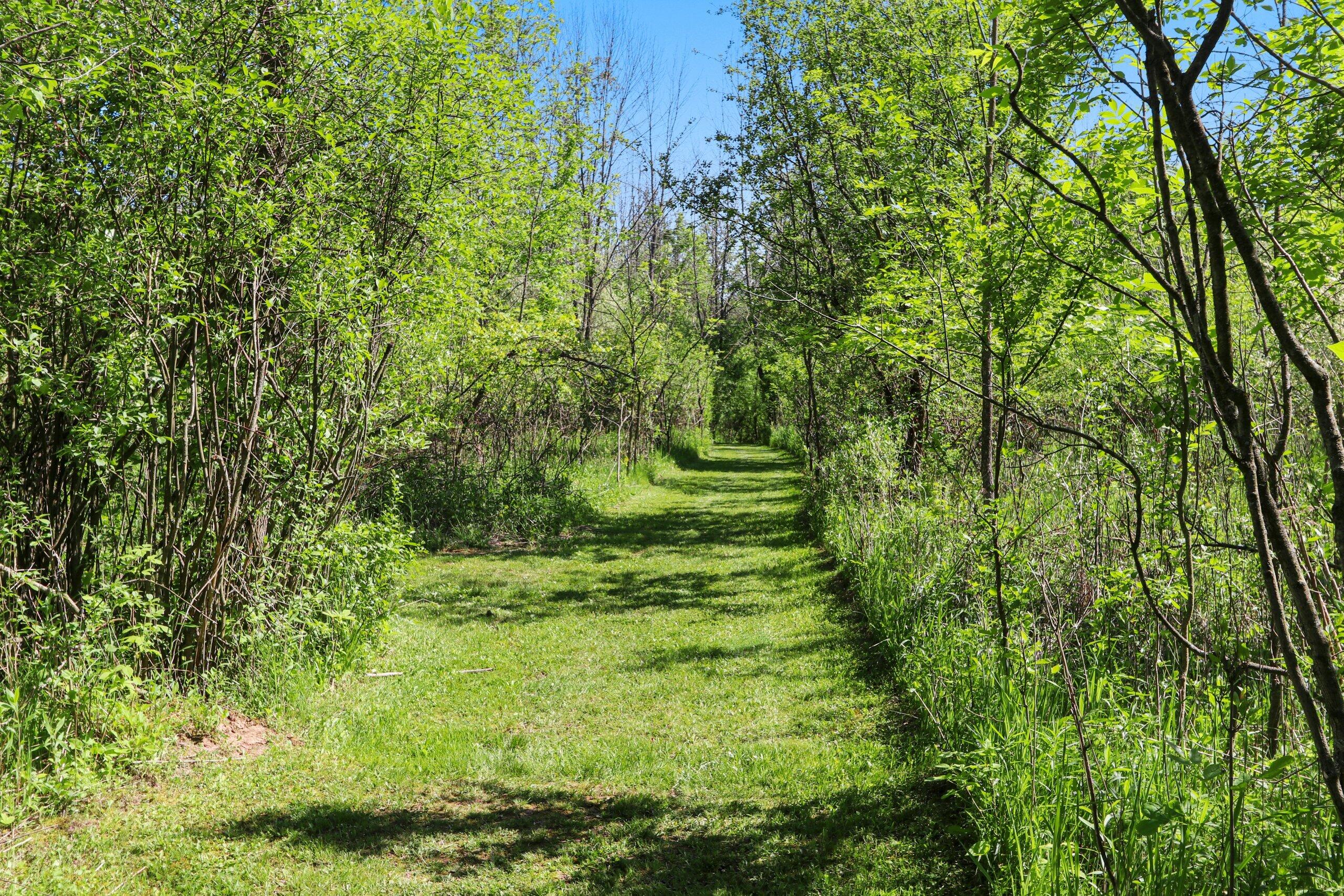10619 Morgan Road Cato, WI 54230 - Photo 80 of 101 025-10619MorganRoad-Reedsville-WI-54230-