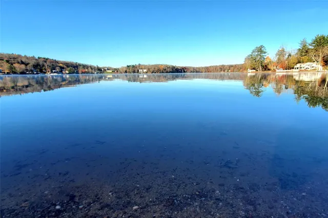 a view of a trees in a park