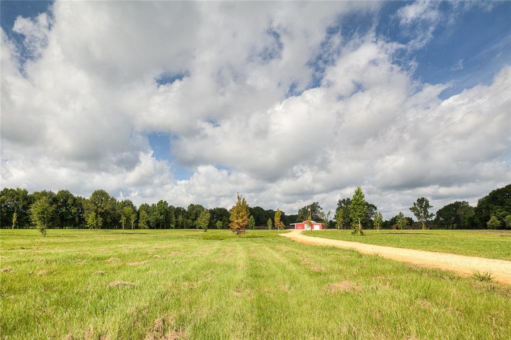 51305 Simmons Road Loranger, LA 70446 - Photo 8 of 11