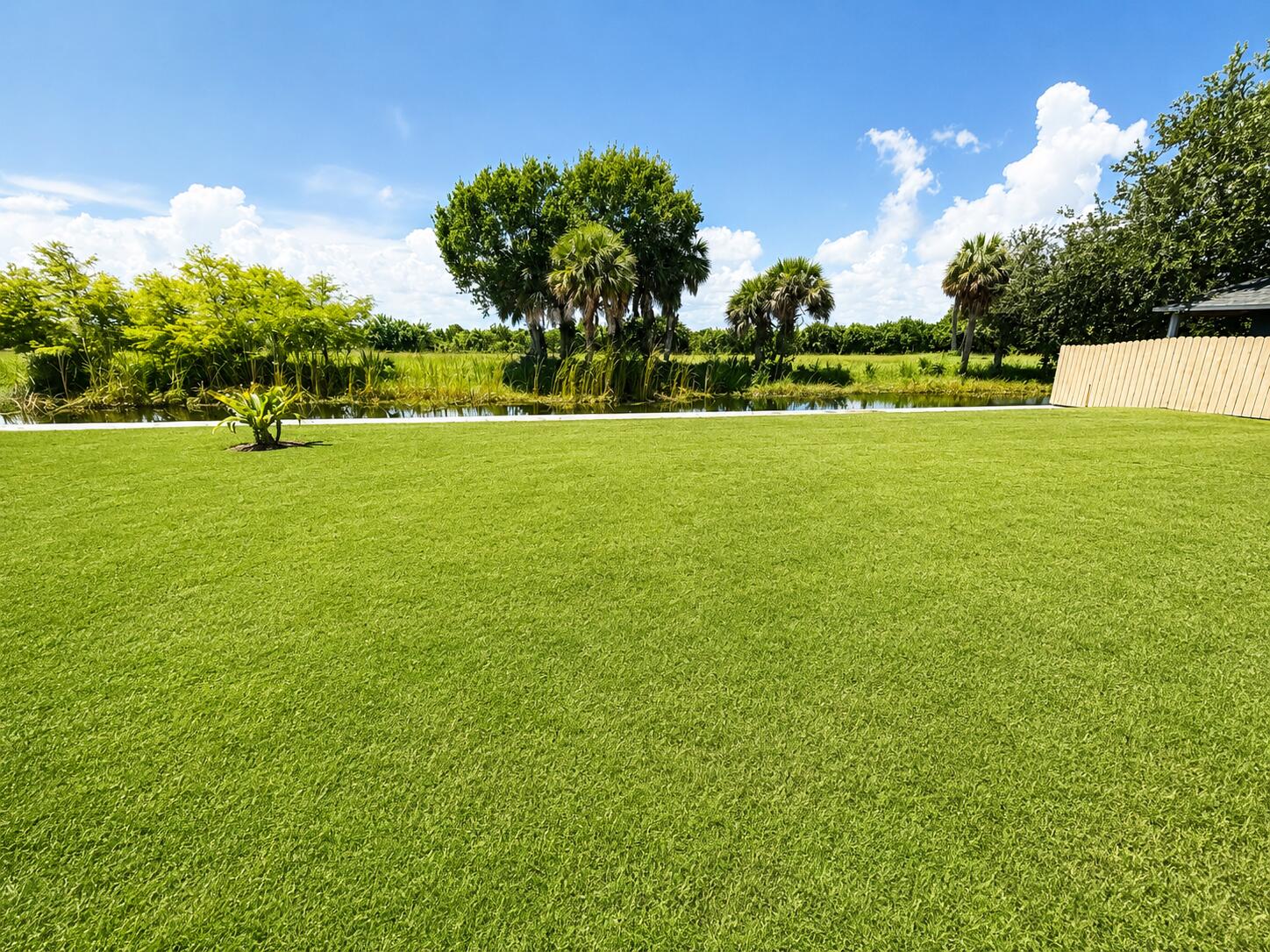 1121 Orange Loop Okeechobee, FL 34974 - Photo 31 of 33 Sunny Backyard Lawn by the Water