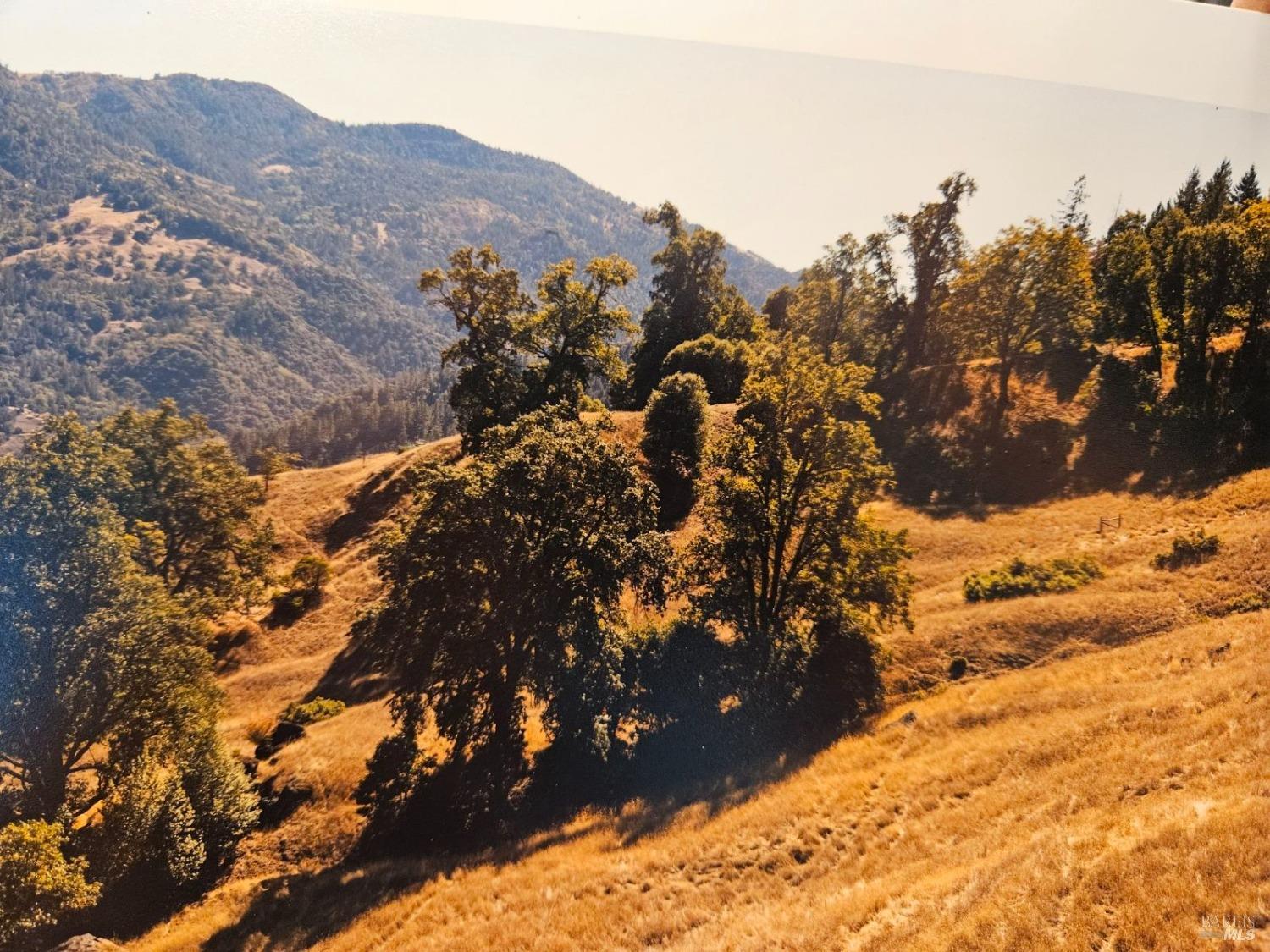 a view of outdoor space