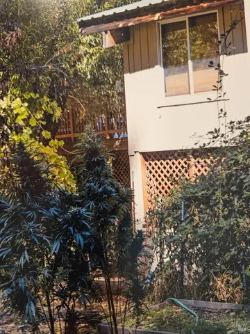 a view of a house with a tree