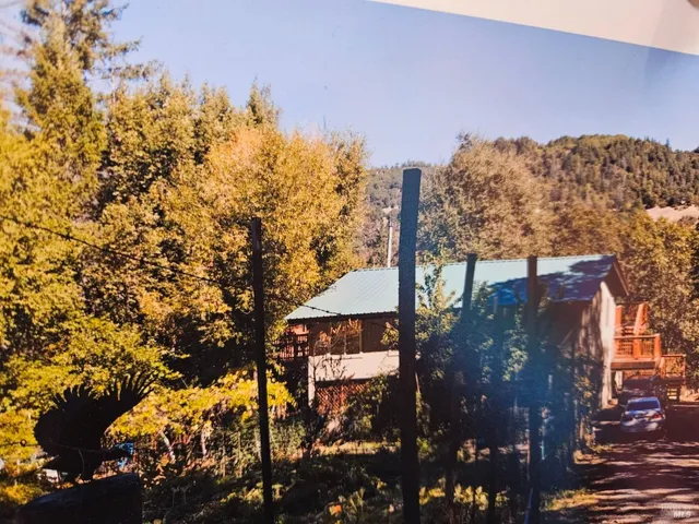 a view of a tree in front of a building