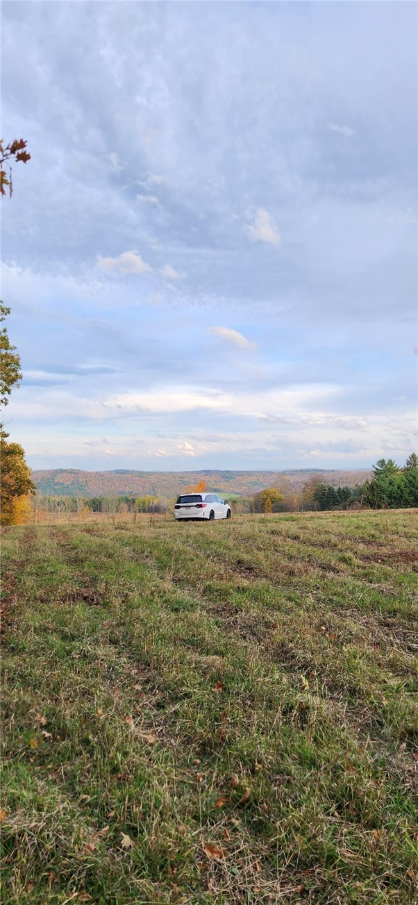 Wilbur Hill Road Unadilla, NY 13849 - Photo 5 of 7