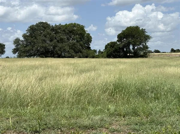 a view of a yard
