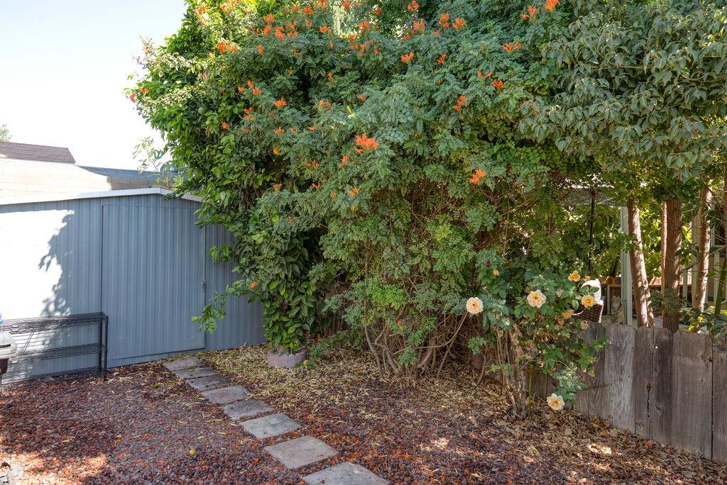 107 Schooner Lane Modesto, CA 95356 - Photo 31 of 43 a view of a backyard with plants and large trees