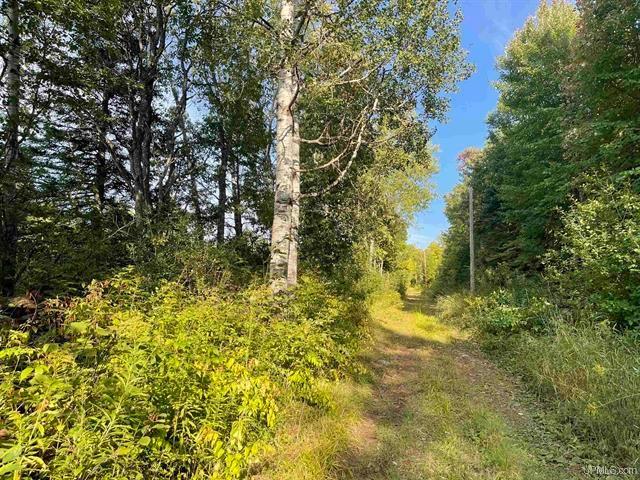 9896 North River Street Ramsay, MI 49959 - Photo 27 of 31 Gallery Image 27