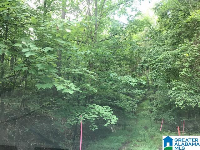 Mountain View Vance, AL 35490 - Photo 18 of 28