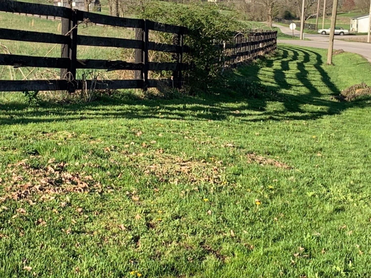 261 Colville Road Paris, KY 40361 - Photo 65 of 67 Listing Photo