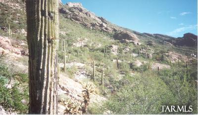 0 West Ina Road Tucson, AZ 85718 - Photo 3 of 8