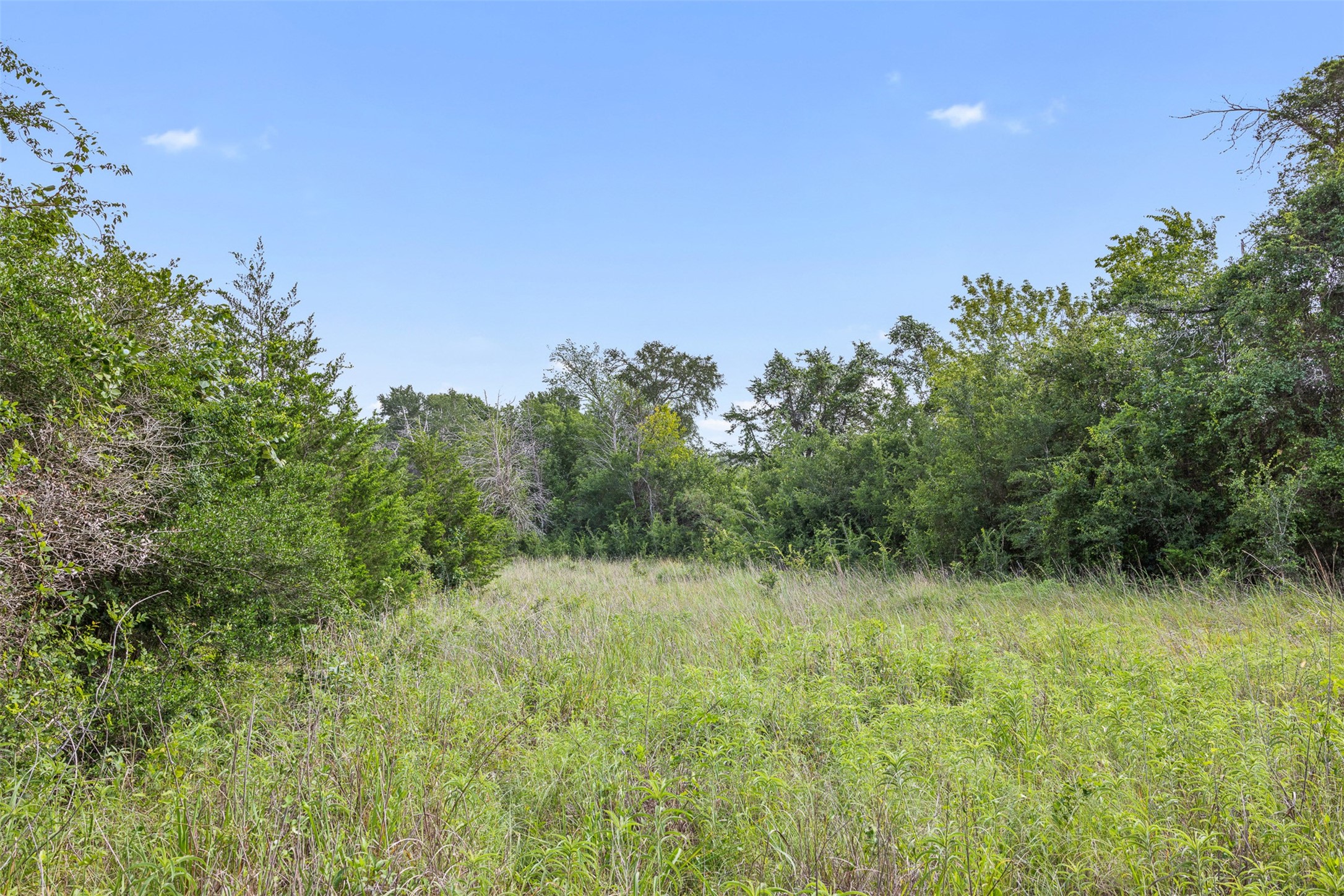 0 Schuster Road Round Top, TX 78954 - Photo 14 of 26