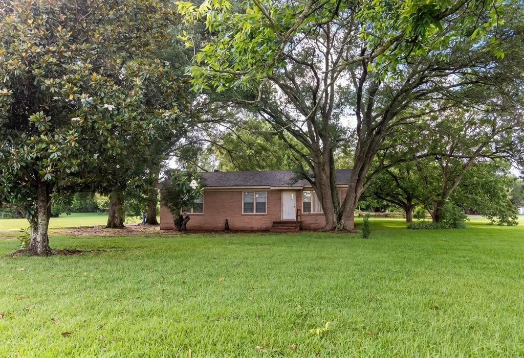 1925 Highway 527 Elm Grove, LA 71051 - Photo 5 of 15 a view of a house with a big yard and large trees