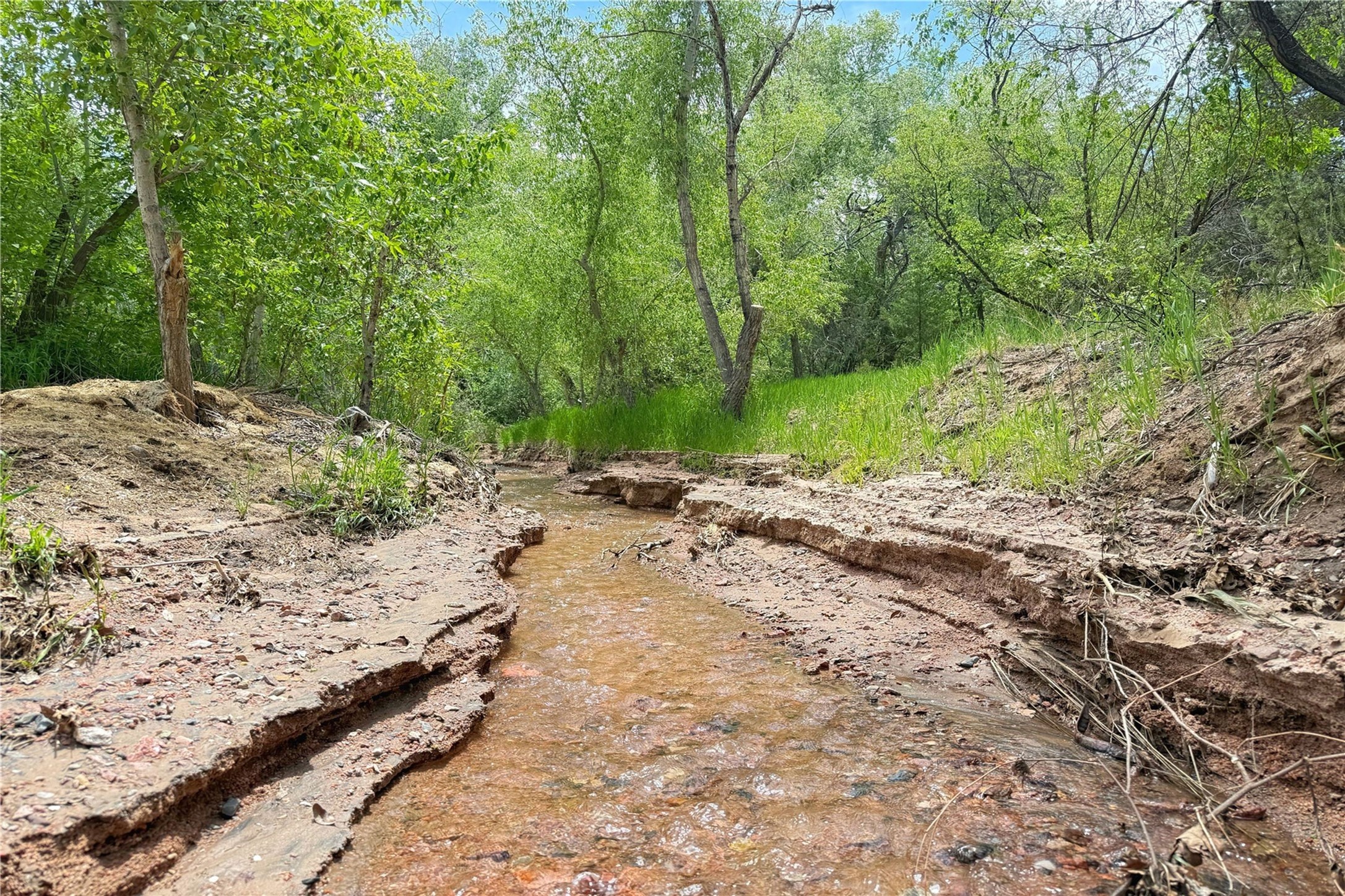 1352 Bishops Lodge Road Santa Fe, NM 87506 - Photo 65 of 66 creek at back of property