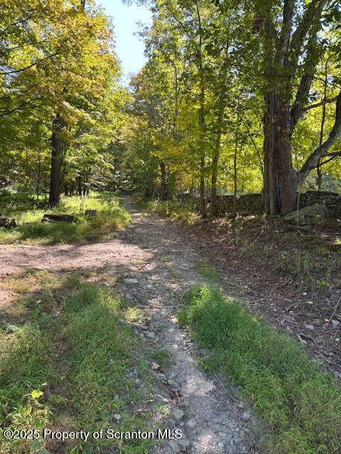 Lower Mill Dalton, PA 18414 - Photo 2 of 10 a view of a yard with a tree