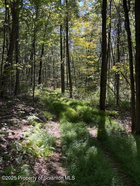 Lower Mill Dalton, PA 18414 - Photo 4 of 10 a view of a garden with trees