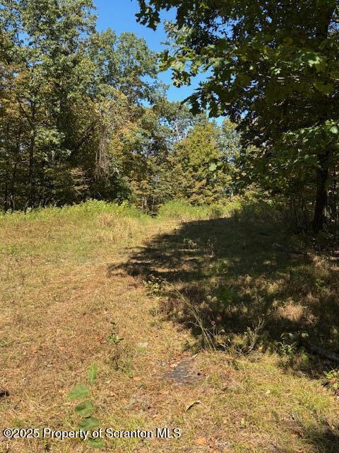 Lower Mill Dalton, PA 18414 - Photo 7 of 10