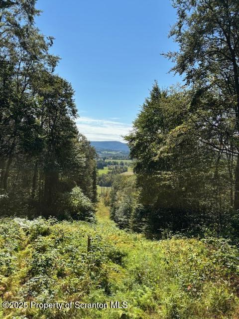 Lower Mill Dalton, PA 18414 - Photo 8 of 10 a view of a garden