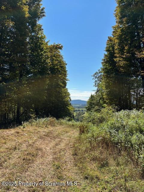 Lower Mill Dalton, PA 18414 - Photo 9 of 10 a backyard of a house with lots of green space