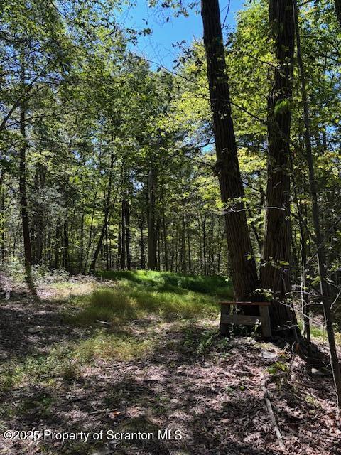 Lower Mill Dalton, PA 18414 - Photo 10 of 10 a view of a park