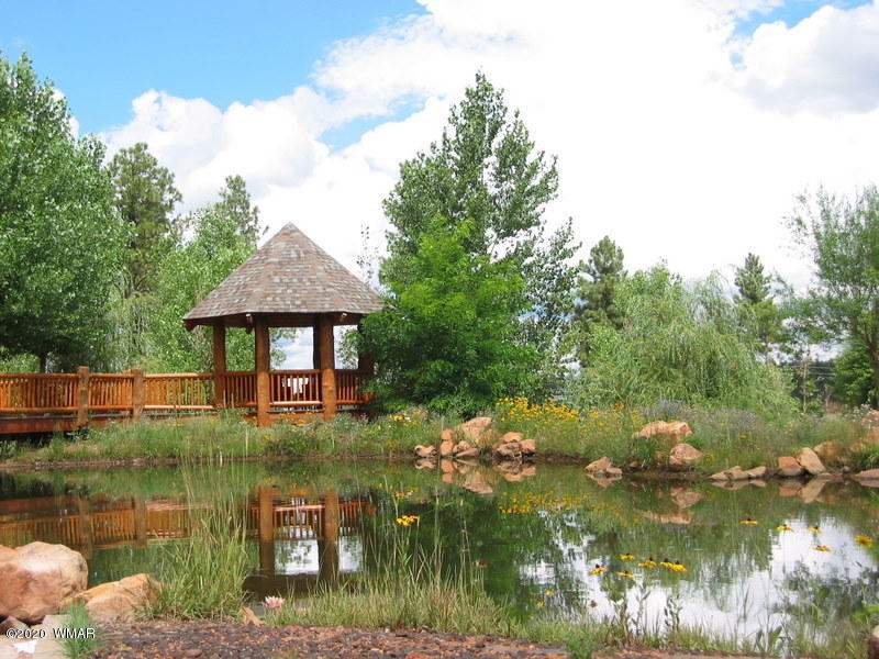 2304 Overgaard Springs Loop, Unit 16 Overgaard, AZ 85933 - Photo 56 of 67
