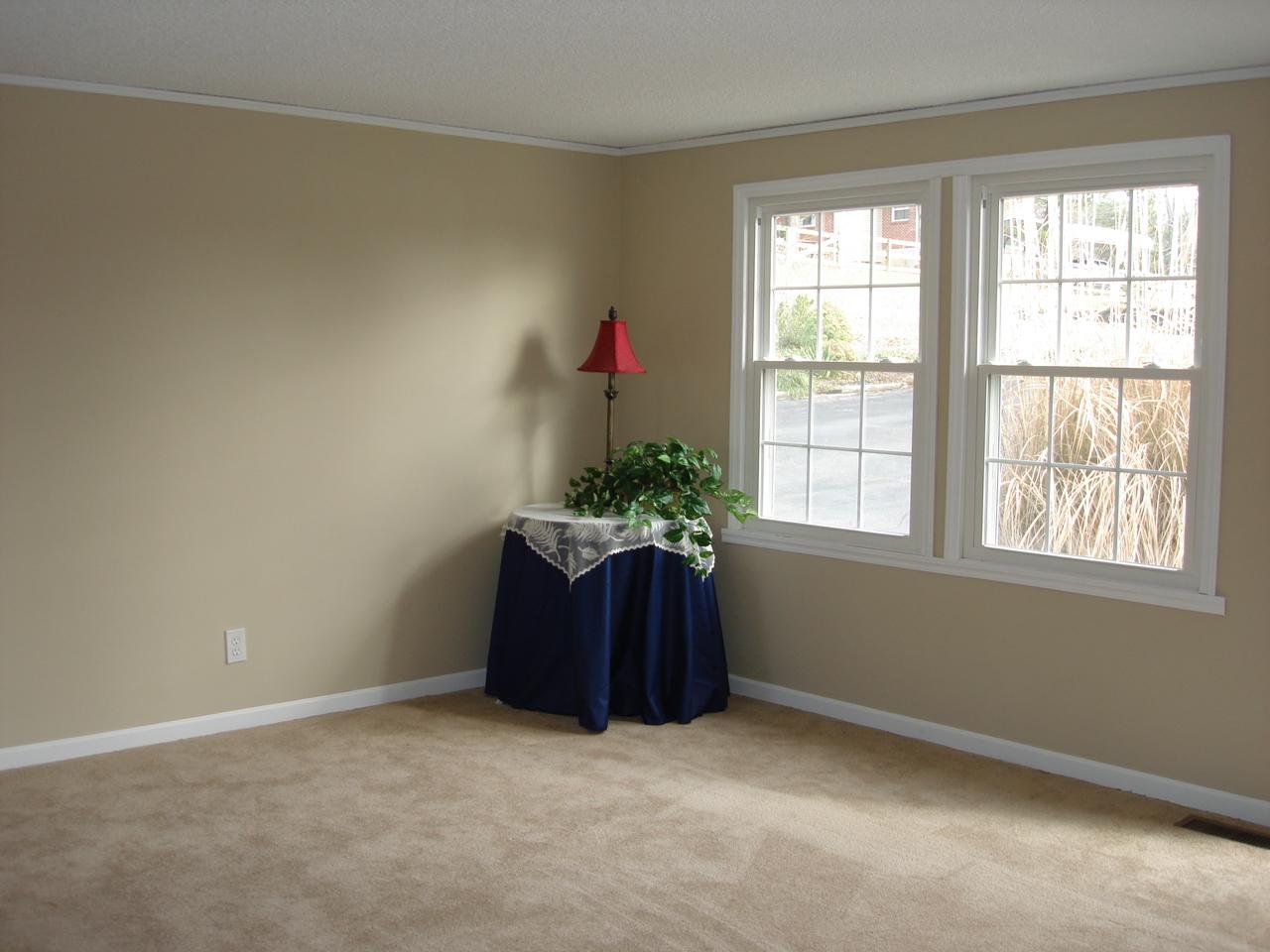 175 Ridge Road Troutville, VA 24175 - Photo 3 of 24 LR