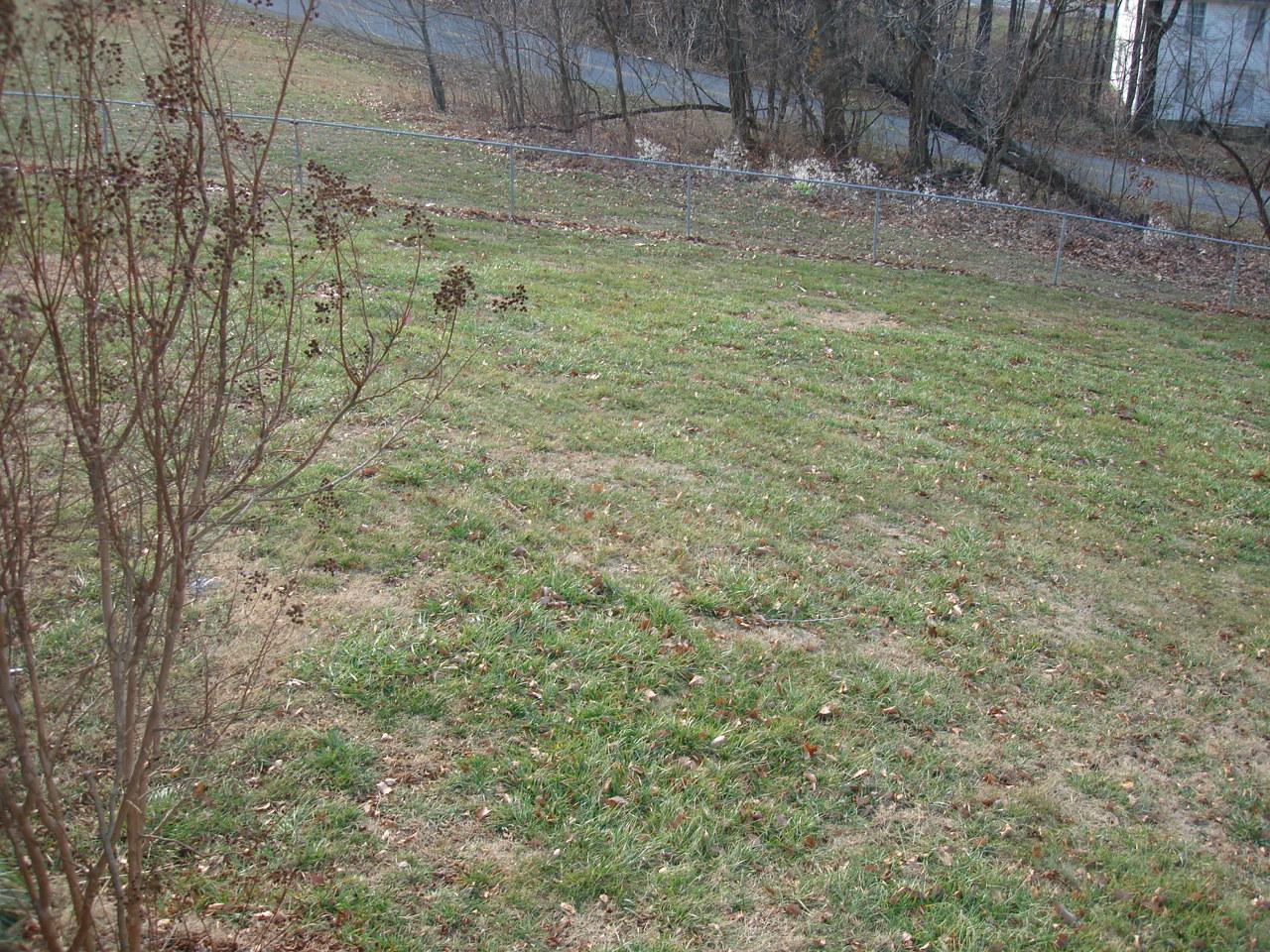 175 Ridge Road Troutville, VA 24175 - Photo 22 of 24 Yard