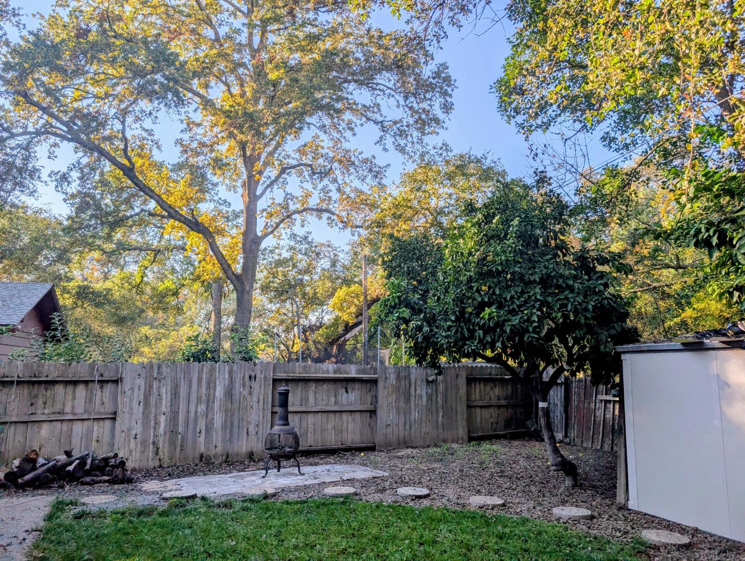 5637 Chris Ann Court Sacramento, CA 95841 - Photo 19 of 23 a view of a backyard with potted plants and large tree
