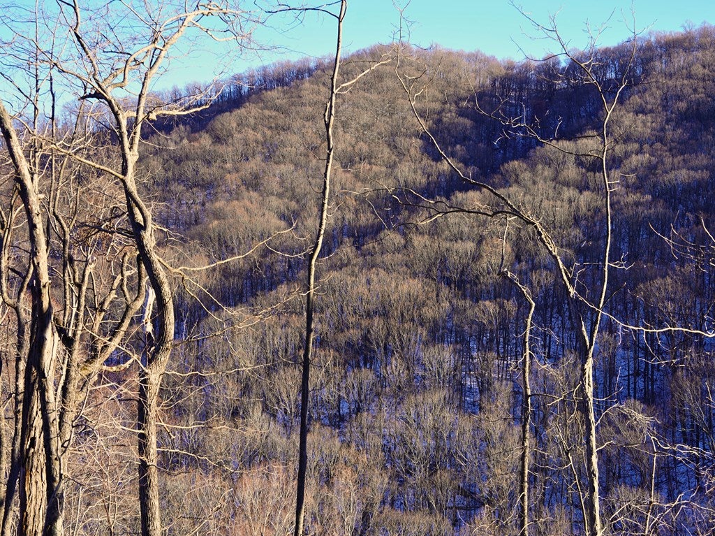 Tbd Shooting Crk Road Ferrum, VA 24088 - Photo 32 of 59 Gallery Image 32