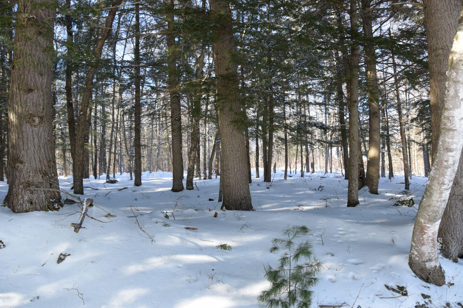 M34-l36 Loon Road Embden, ME 04958 - Photo 17 of 27 DSC_0036