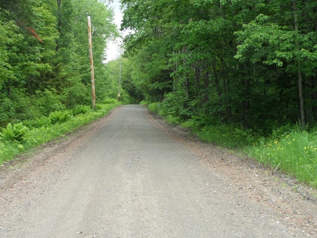 333 Ranney Corner Road Ashfield, MA 01330 - Photo 11 of 12 a view of a field with trees in the background