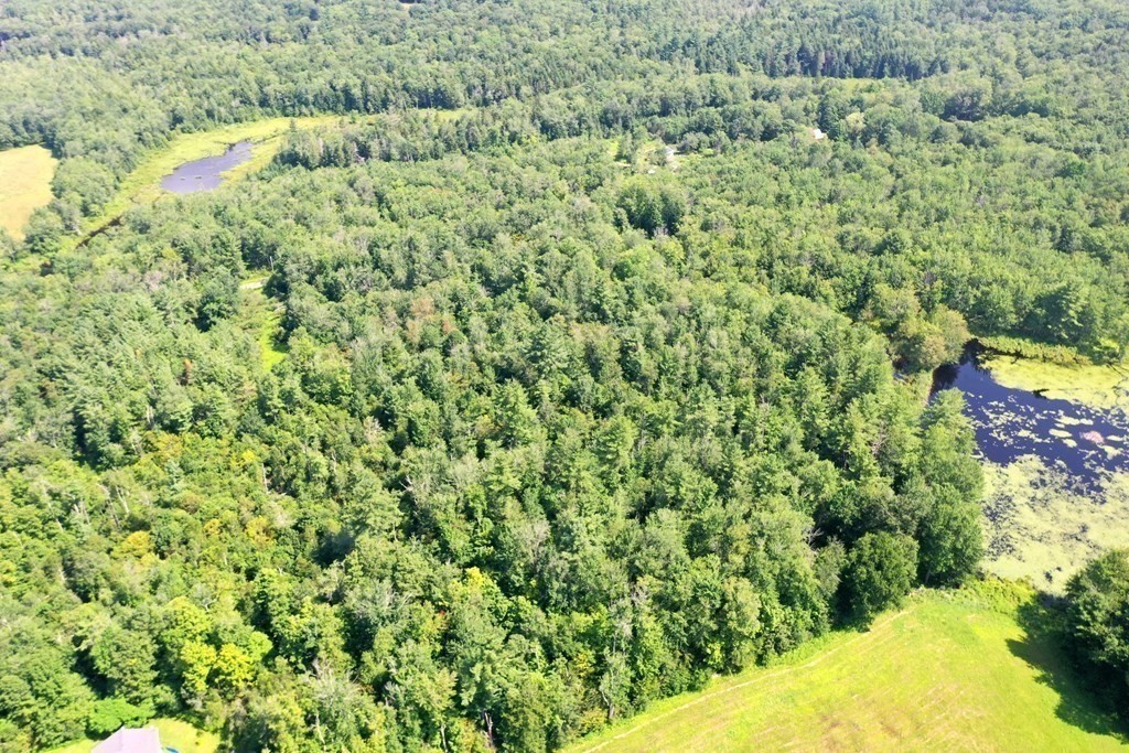 333 Ranney Corner Road Ashfield, MA 01330 - Photo 7 of 12 a view of a bunch of trees and bushes