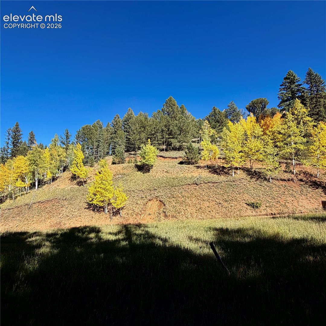 535 Willow Road Divide, CO 80814 - Photo 19 of 20 View across the road