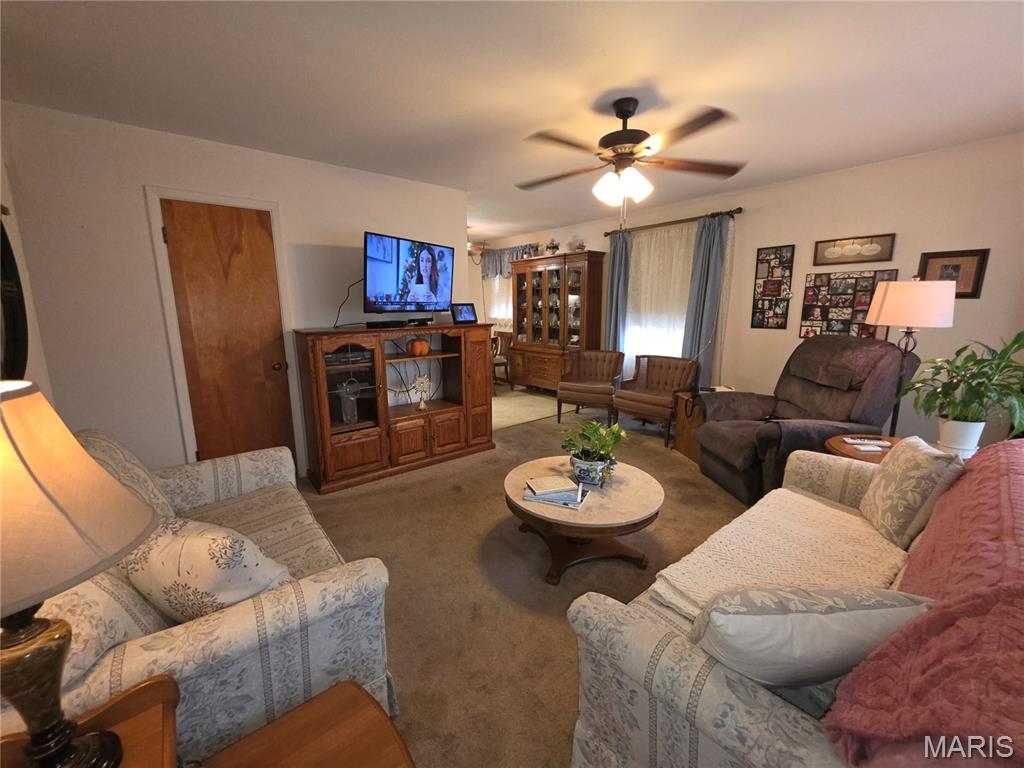 18 Jennine Drive Belleville, IL 62226 - Photo 4 of 50