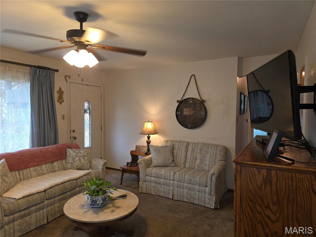 18 Jennine Drive Belleville, IL 62226 - Photo 6 of 50