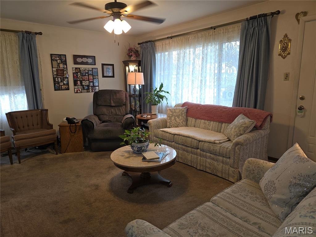 18 Jennine Drive Belleville, IL 62226 - Photo 9 of 50