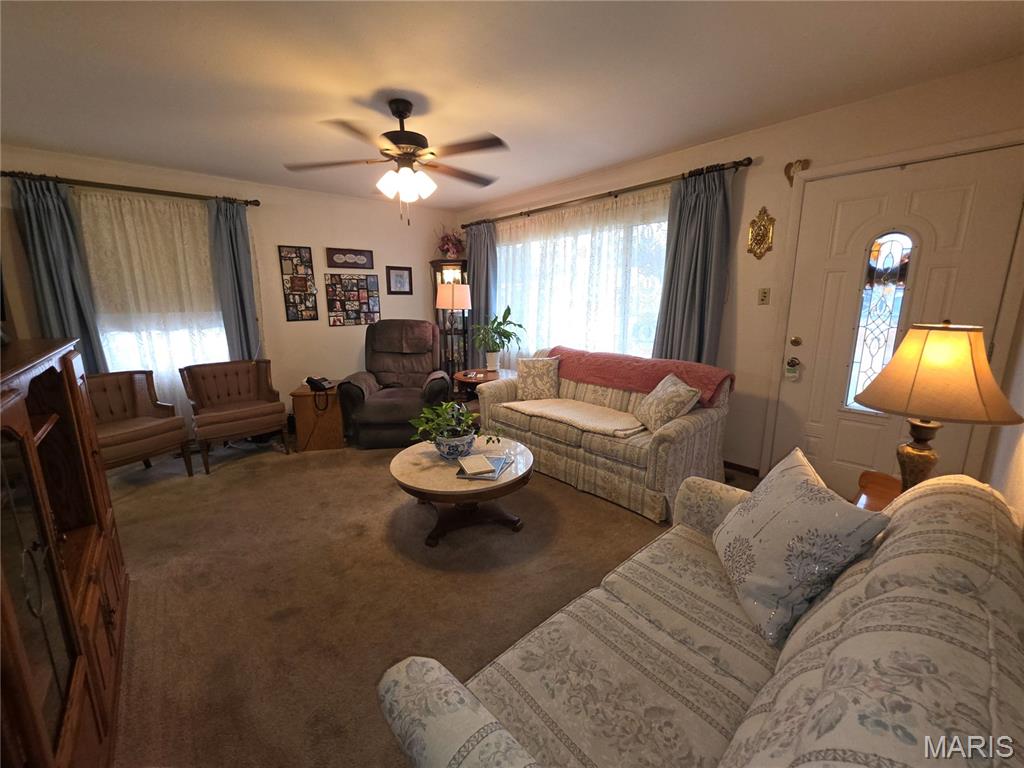 18 Jennine Drive Belleville, IL 62226 - Photo 10 of 50