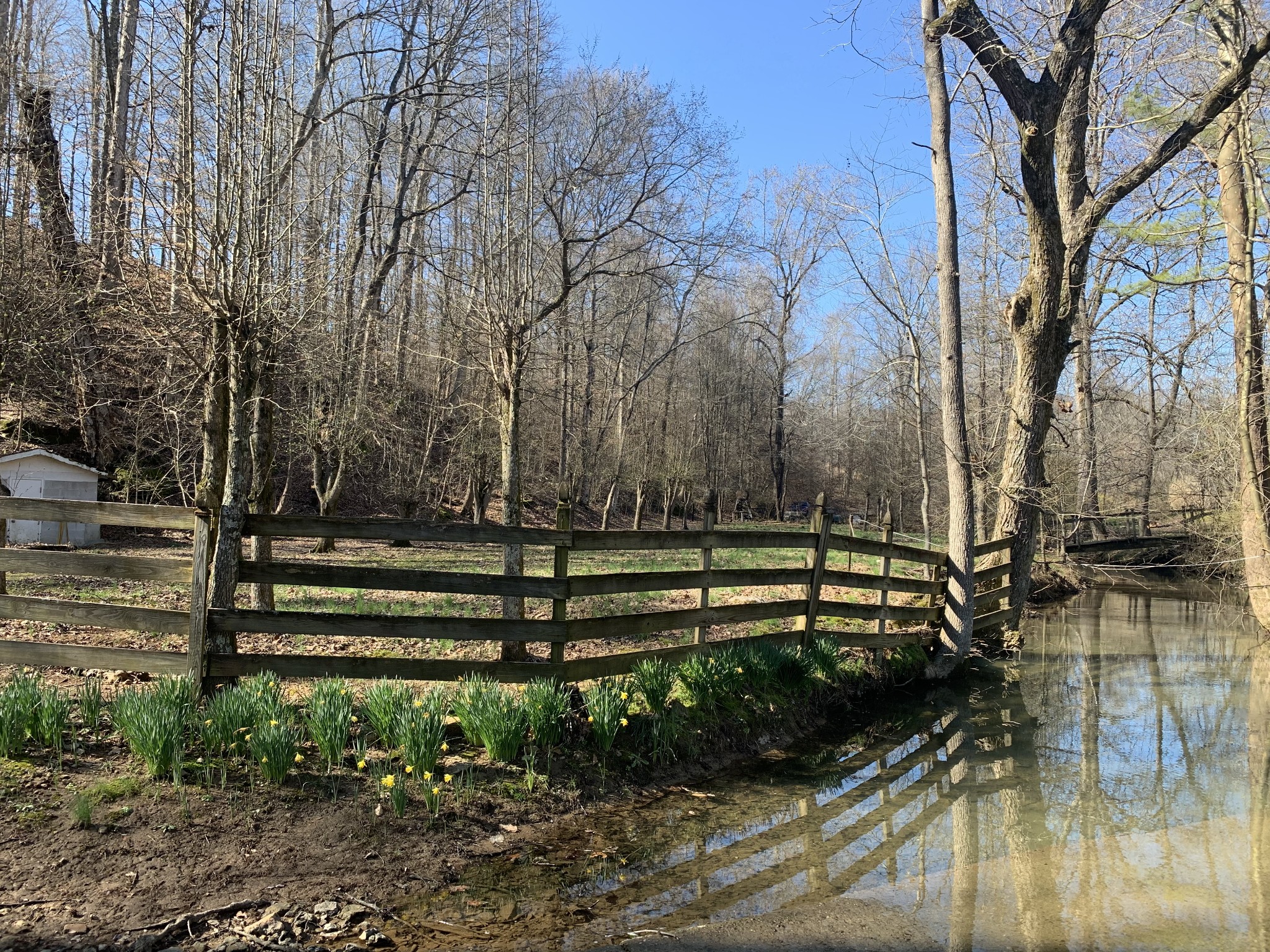 25 Shannon Road Leoma, TN 38468 - Photo 8 of 27