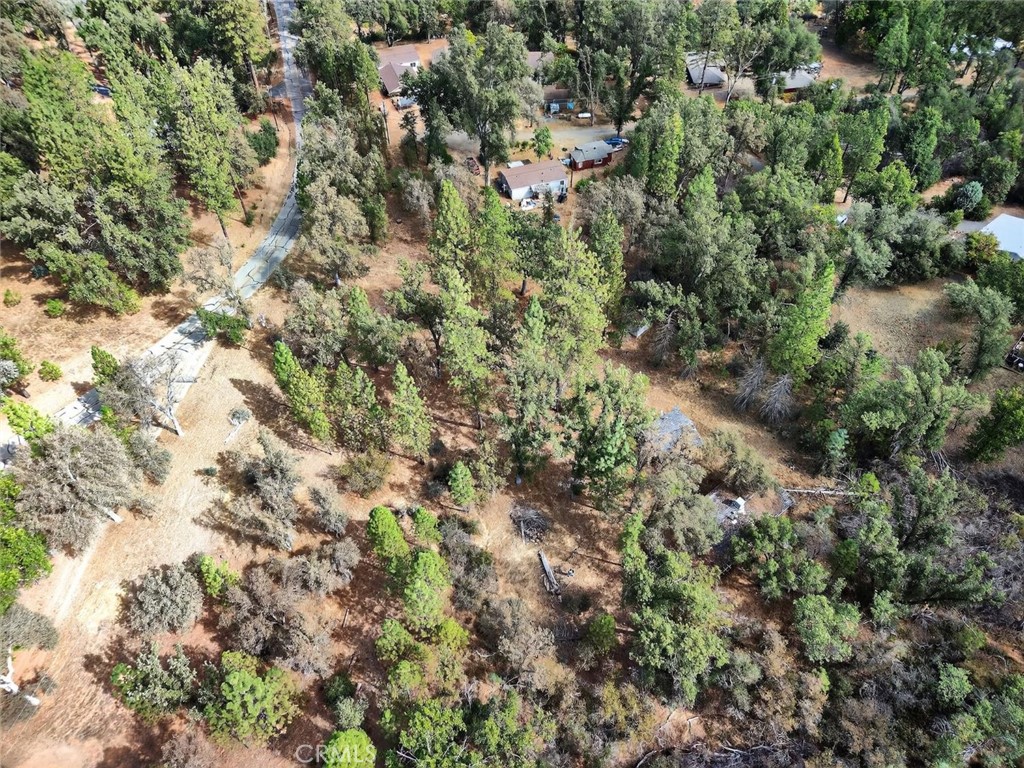 5021 Colorado Road Midpines, CA 95345 - Photo 5 of 12 a view of a forest with a tree