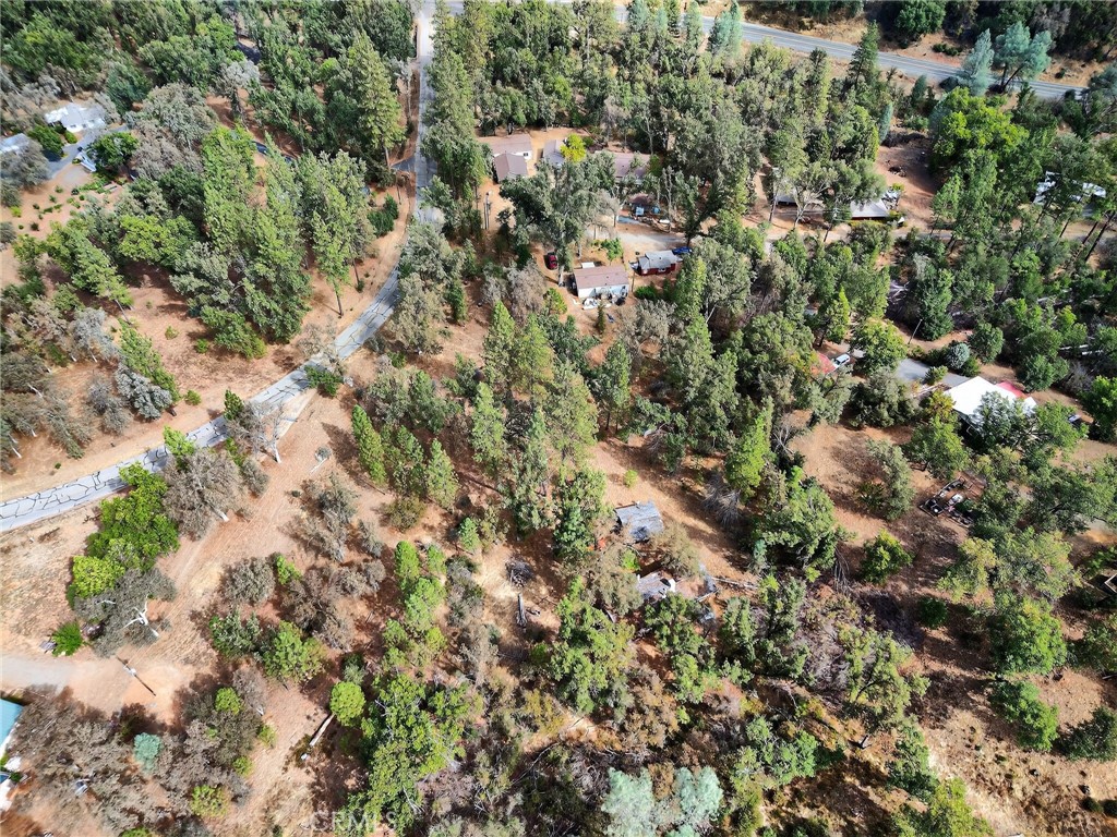 5021 Colorado Road Midpines, CA 95345 - Photo 6 of 12 a view of a forest