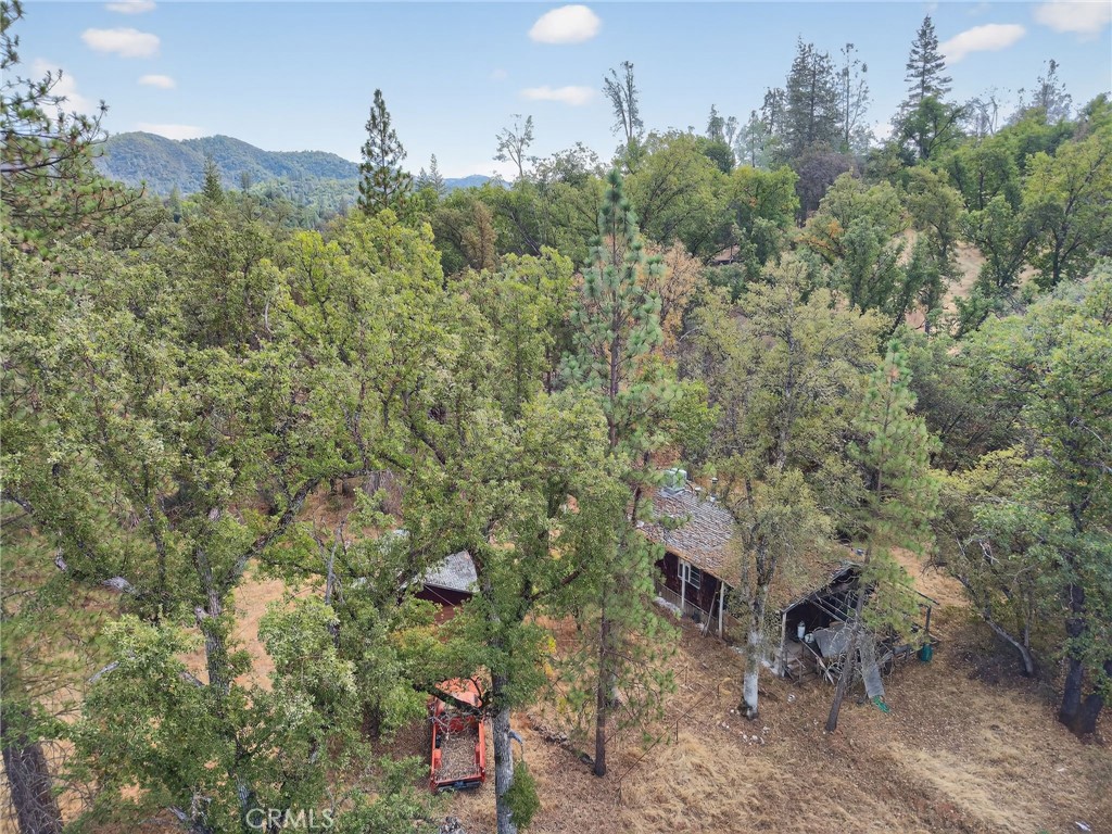 5021 Colorado Road Midpines, CA 95345 - Photo 7 of 12 a view of a field with plants and trees