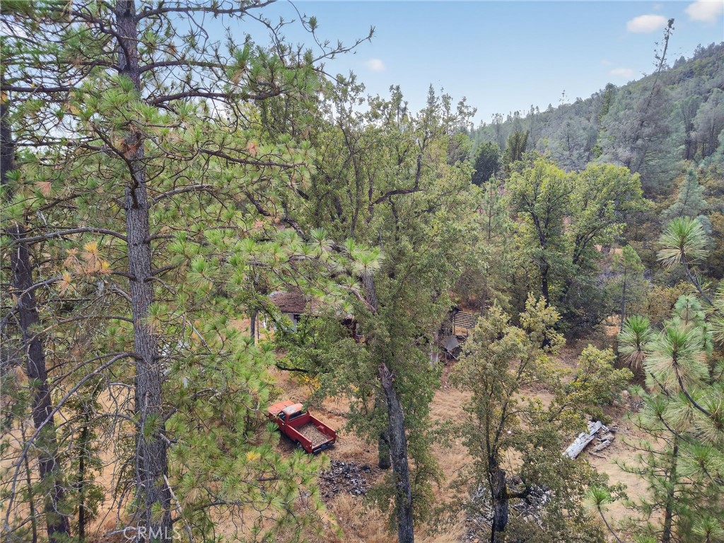 5021 Colorado Road Midpines, CA 95345 - Photo 10 of 12 a view of a forest with a tree