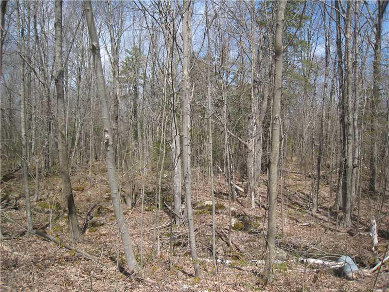121 Brock Road Searsport, ME 04974 - Photo 6 of 24 Land. A little peak of some of the...