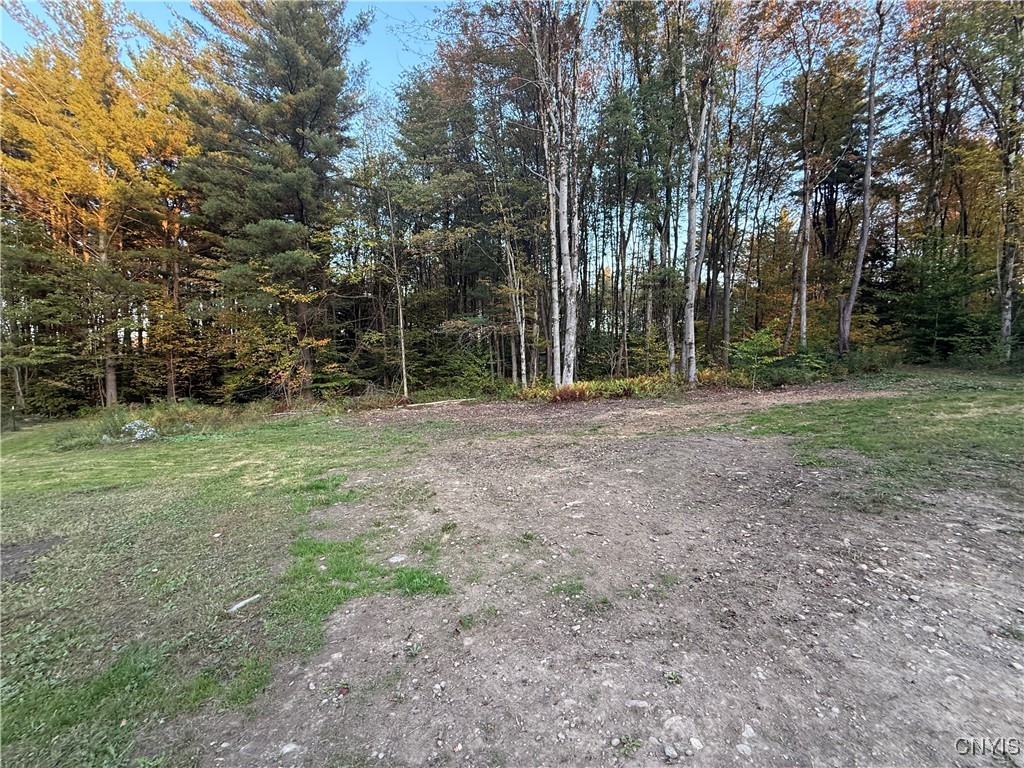 1753 Highway 13 Altmar, NY 13302 - Photo 14 of 28