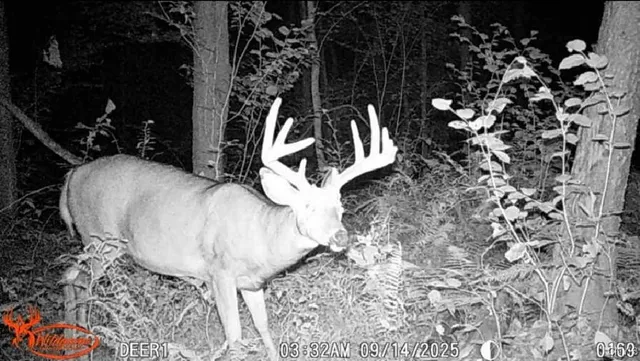 $199,900 | 1753 Highway 13, Altmar, NY 13302