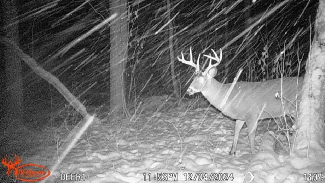 1753 Highway 13 Altmar, NY 13302 - Photo 21 of 28