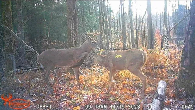 $199,900 | 1753 Highway 13, Altmar, NY 13302