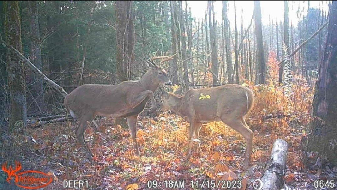 1753 Highway 13 Altmar, NY 13302 - Photo 22 of 28